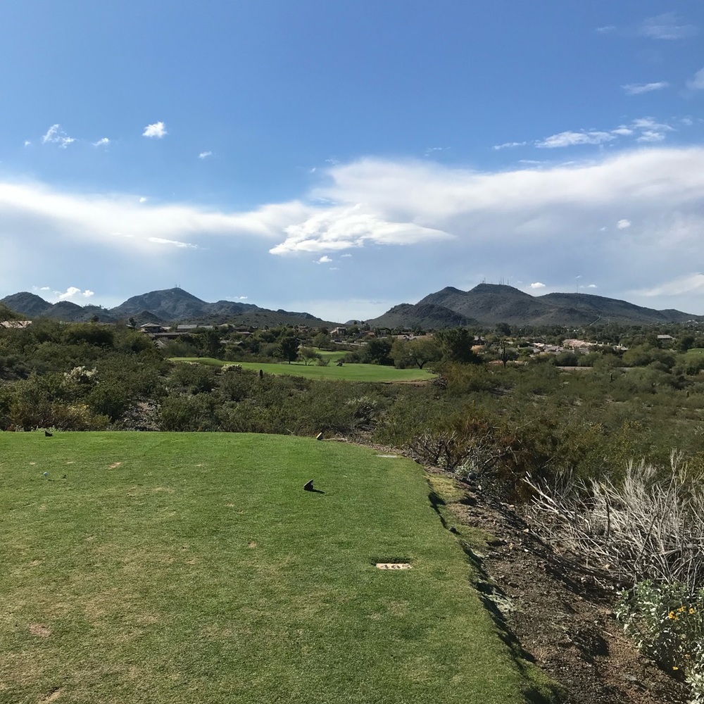 Meet your Posher, Brandon